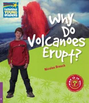 Imagem de WHY DO VOLCANOES ERUPT? LEVEL 4 FACTBOOK
