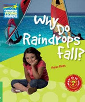 Imagem de WHY DO RAINDROPS FALL? - LEVEL 3