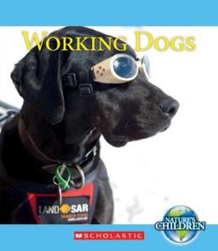 Imagem de WORKING DOGS